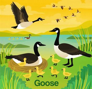 about-books-goose.jpeg